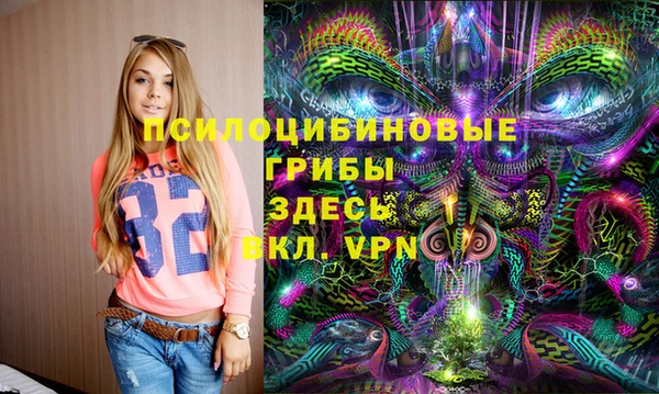 метадон Алексин