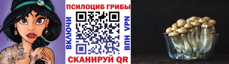 Псилоцибиновые грибы MAGIC MUSHROOMS  где купить наркоту  Туймазы 